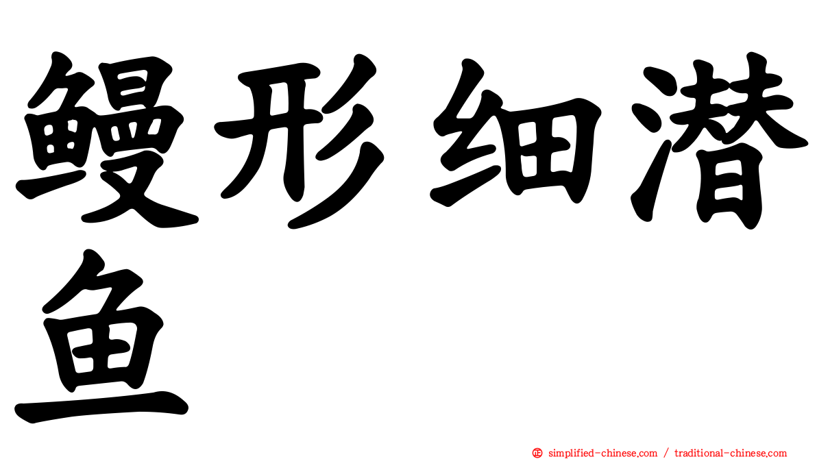 鳗形细潜鱼