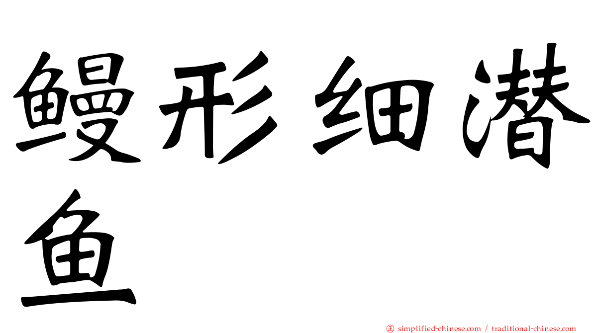 鳗形细潜鱼