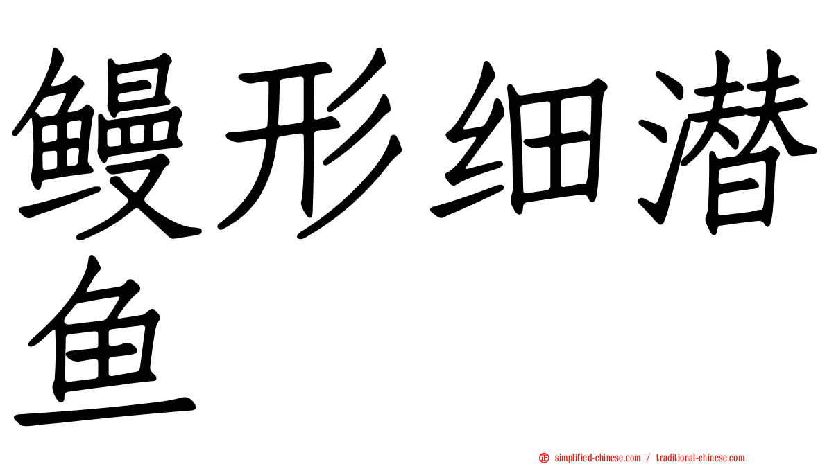鳗形细潜鱼