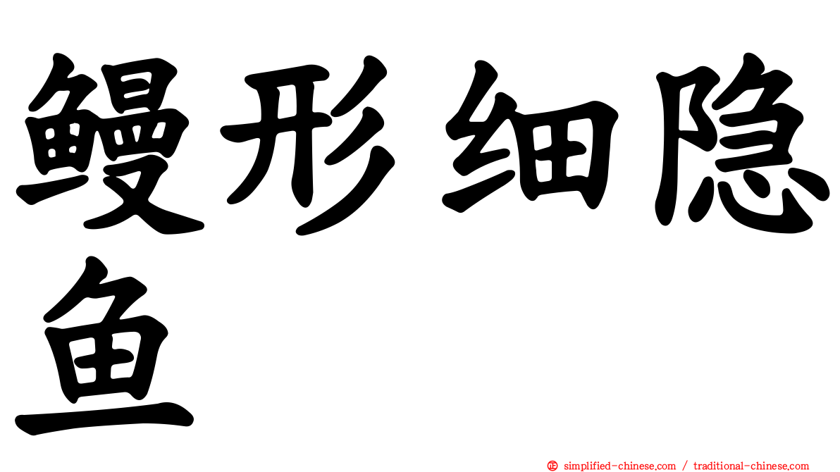 鳗形细隐鱼