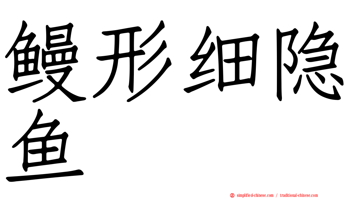 鳗形细隐鱼