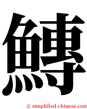 鱄 serif font