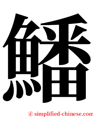 鱕 serif font