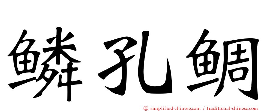 鳞孔鲷