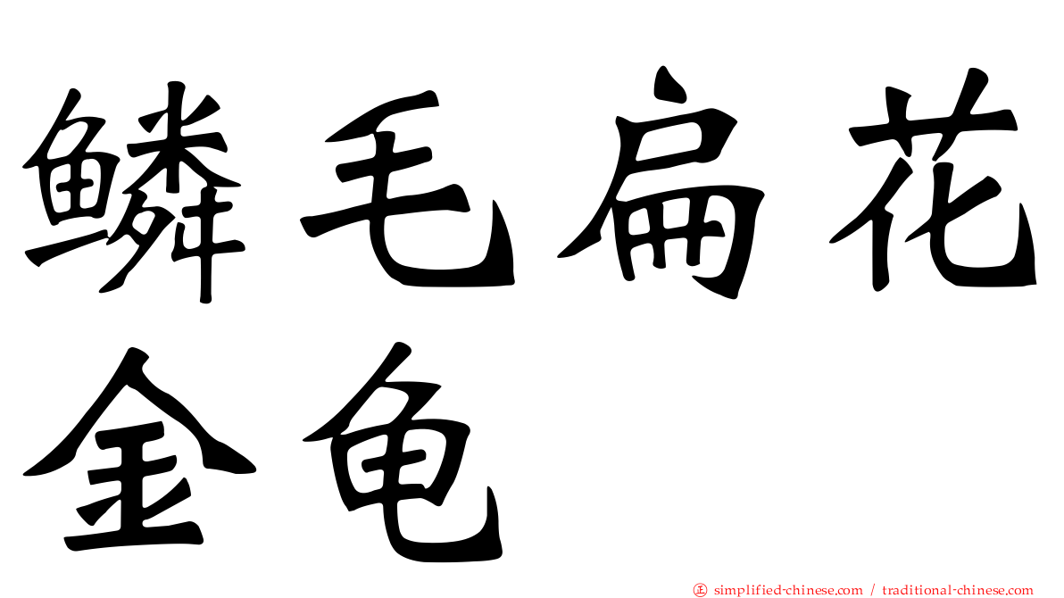 鳞毛扁花金龟