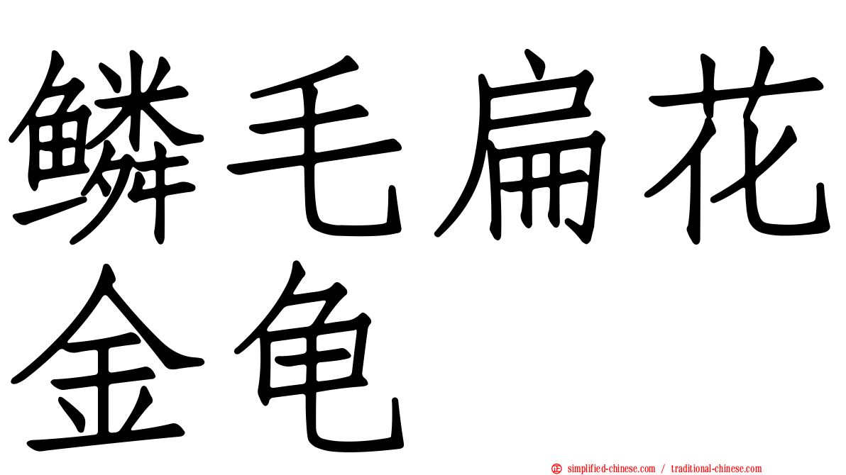 鳞毛扁花金龟