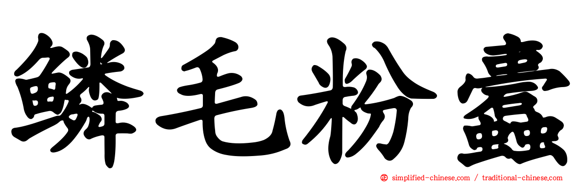 鳞毛粉蠹