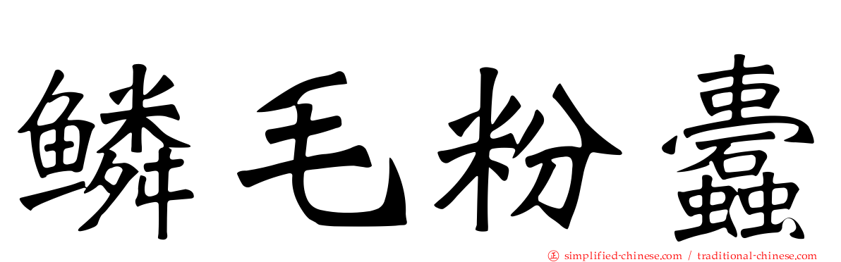 鳞毛粉蠹