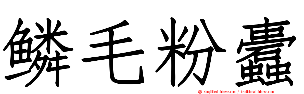 鳞毛粉蠹