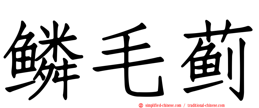 鳞毛蓟