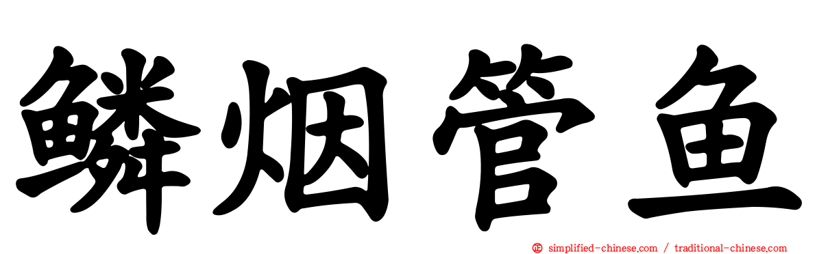 鳞烟管鱼