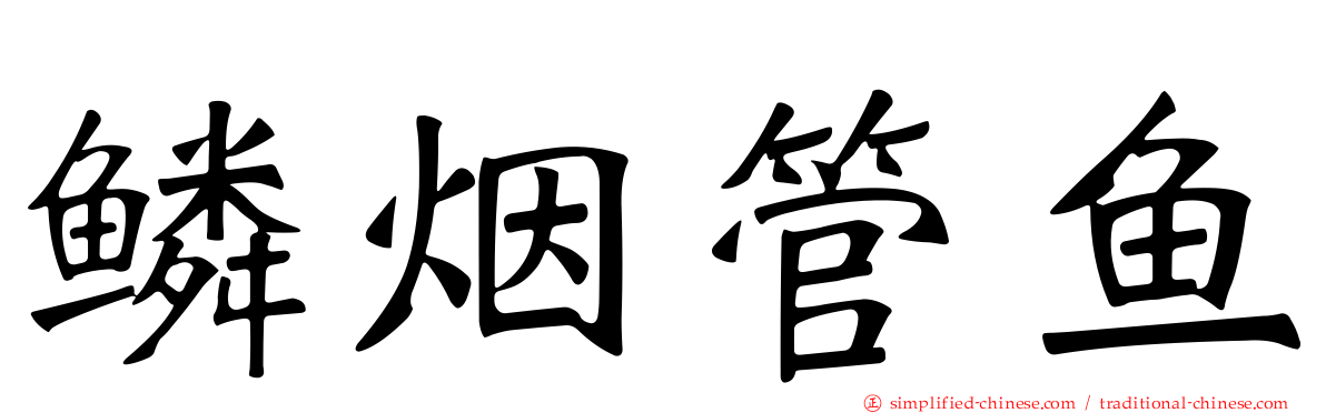 鳞烟管鱼