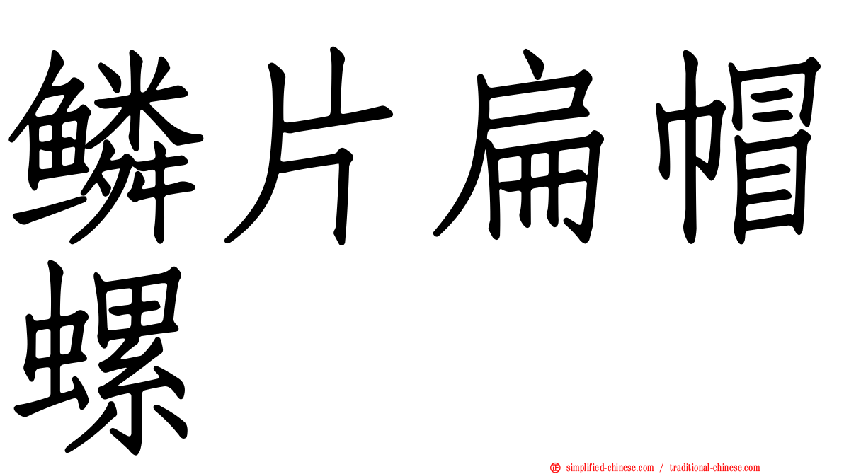 鳞片扁帽螺