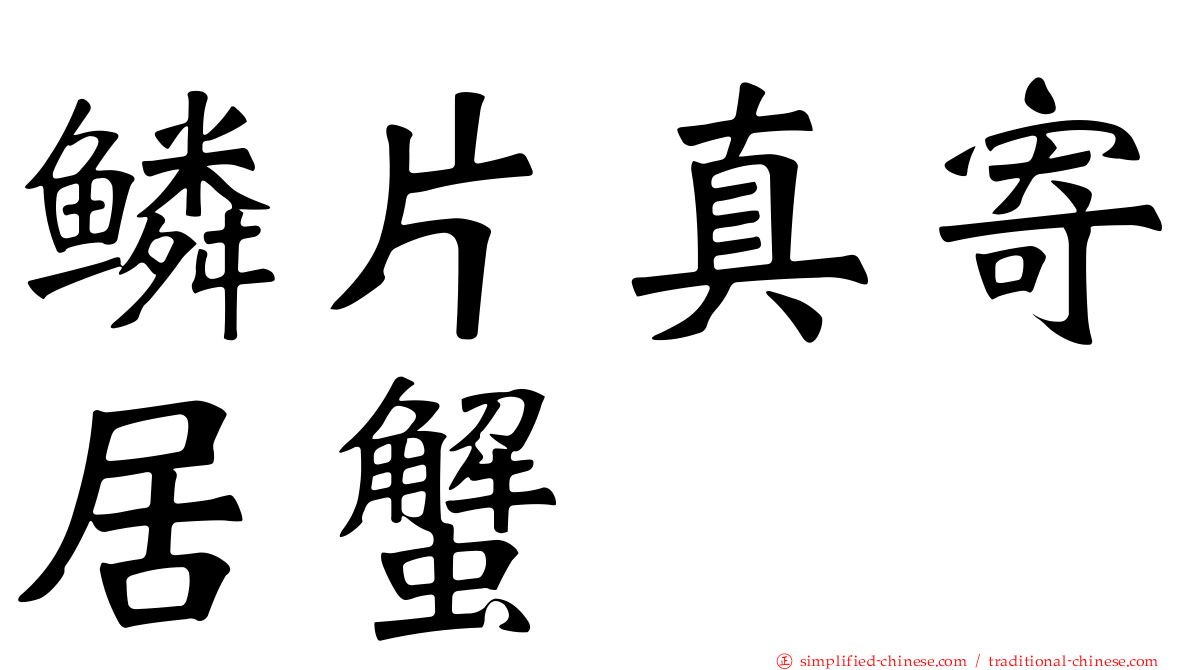 鳞片真寄居蟹