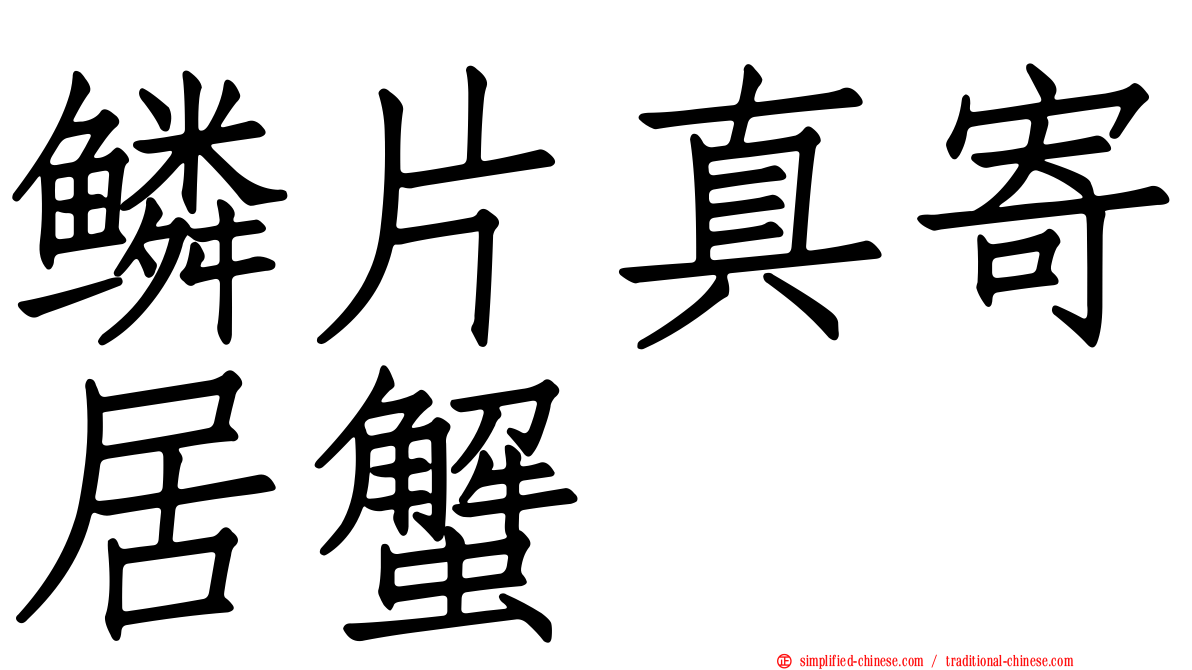 鳞片真寄居蟹