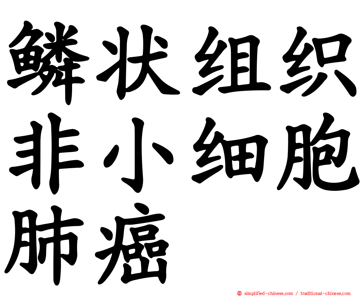 鳞状组织非小细胞肺癌