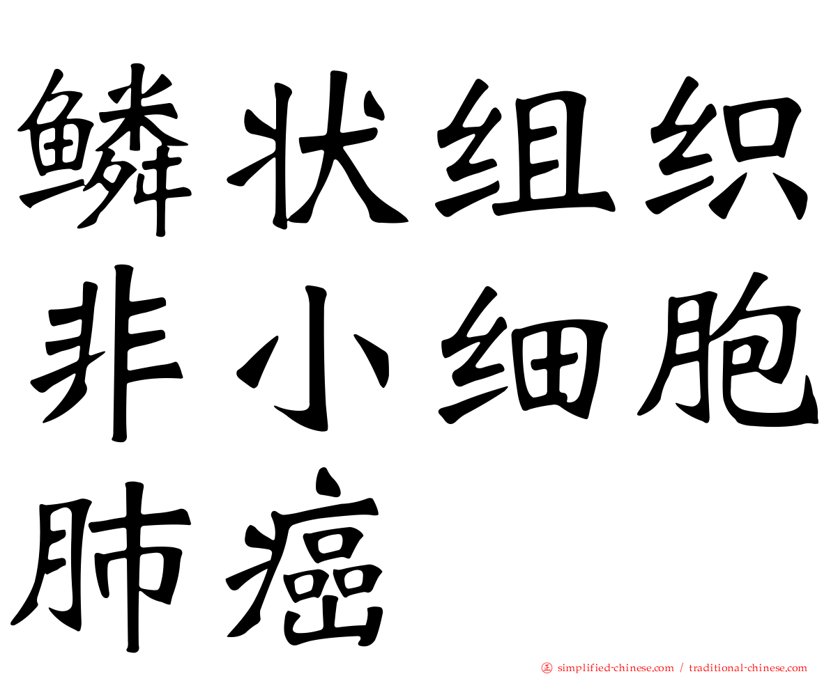 鳞状组织非小细胞肺癌