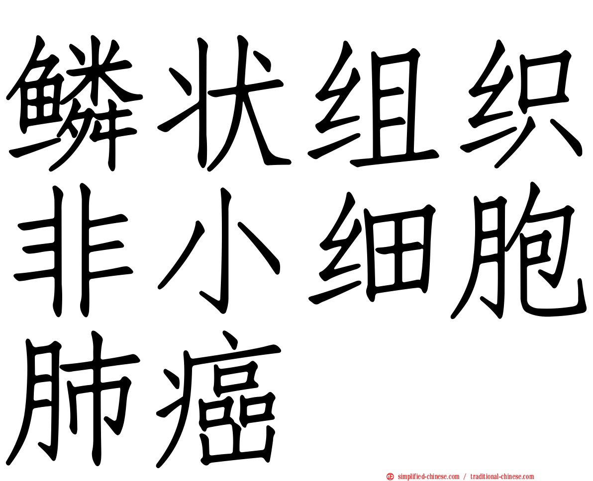 鳞状组织非小细胞肺癌