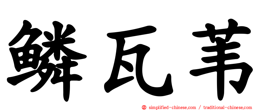 鳞瓦苇