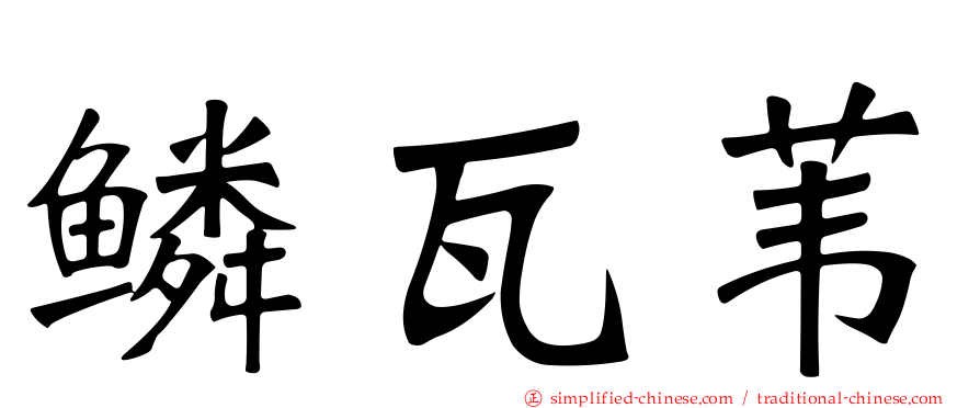 鳞瓦苇