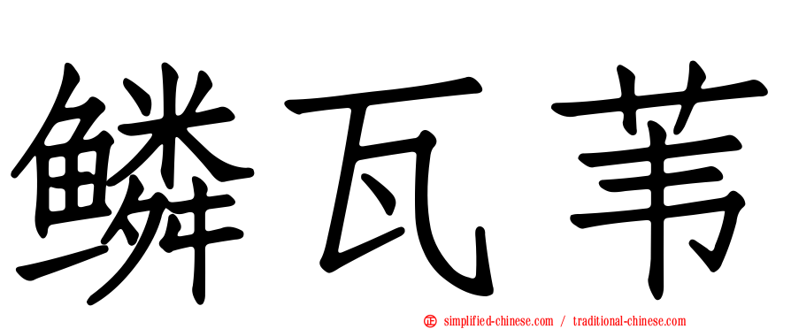 鳞瓦苇