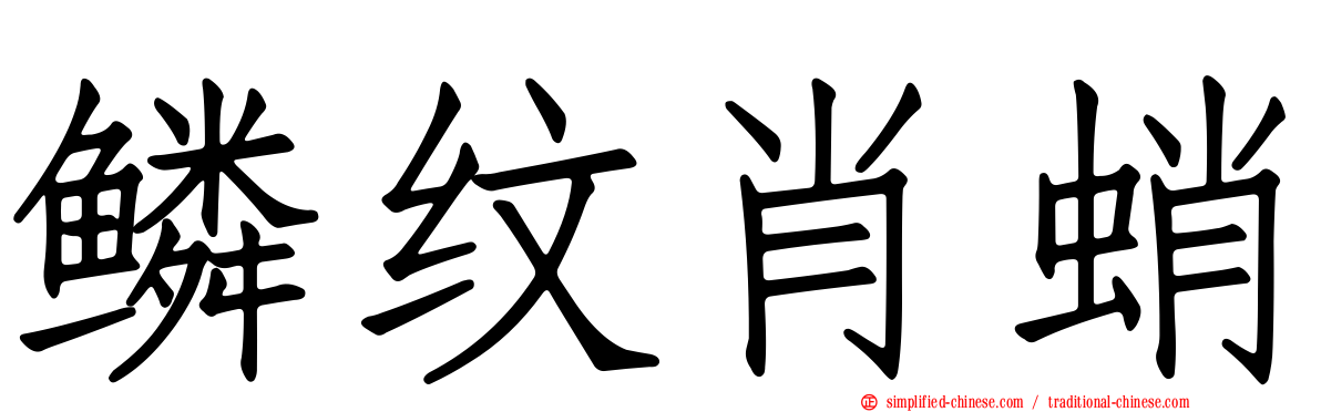 鳞纹肖蛸