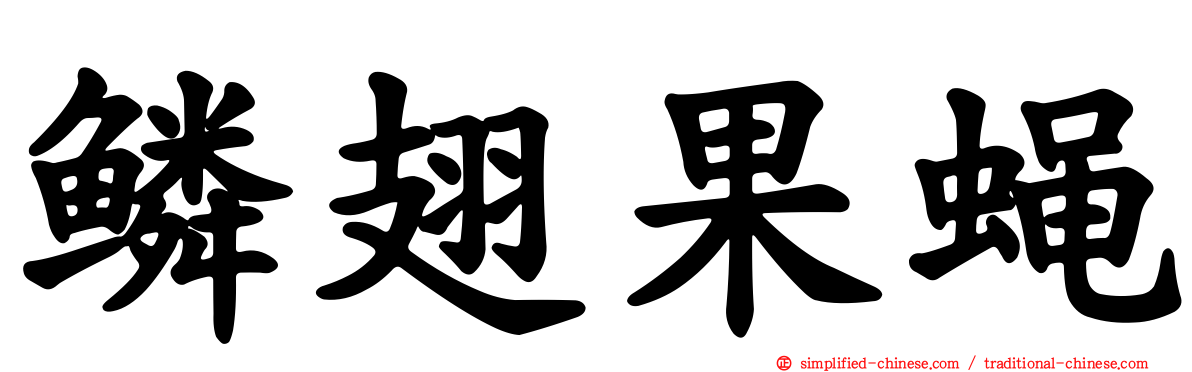 鳞翅果蝇
