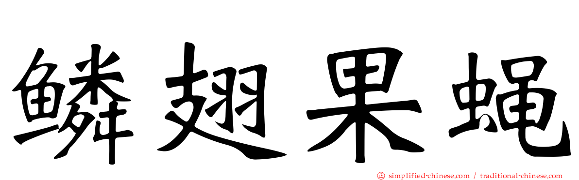鳞翅果蝇