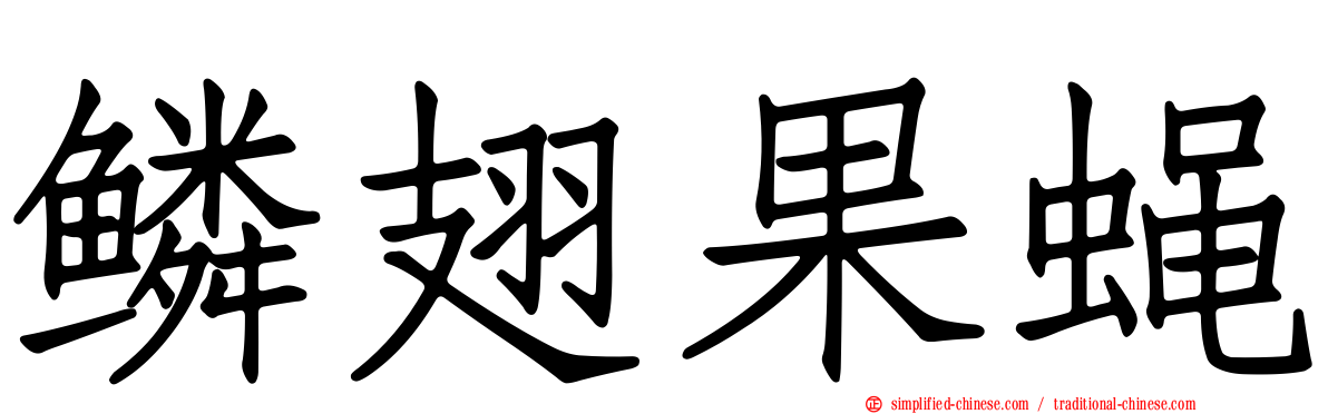 鳞翅果蝇