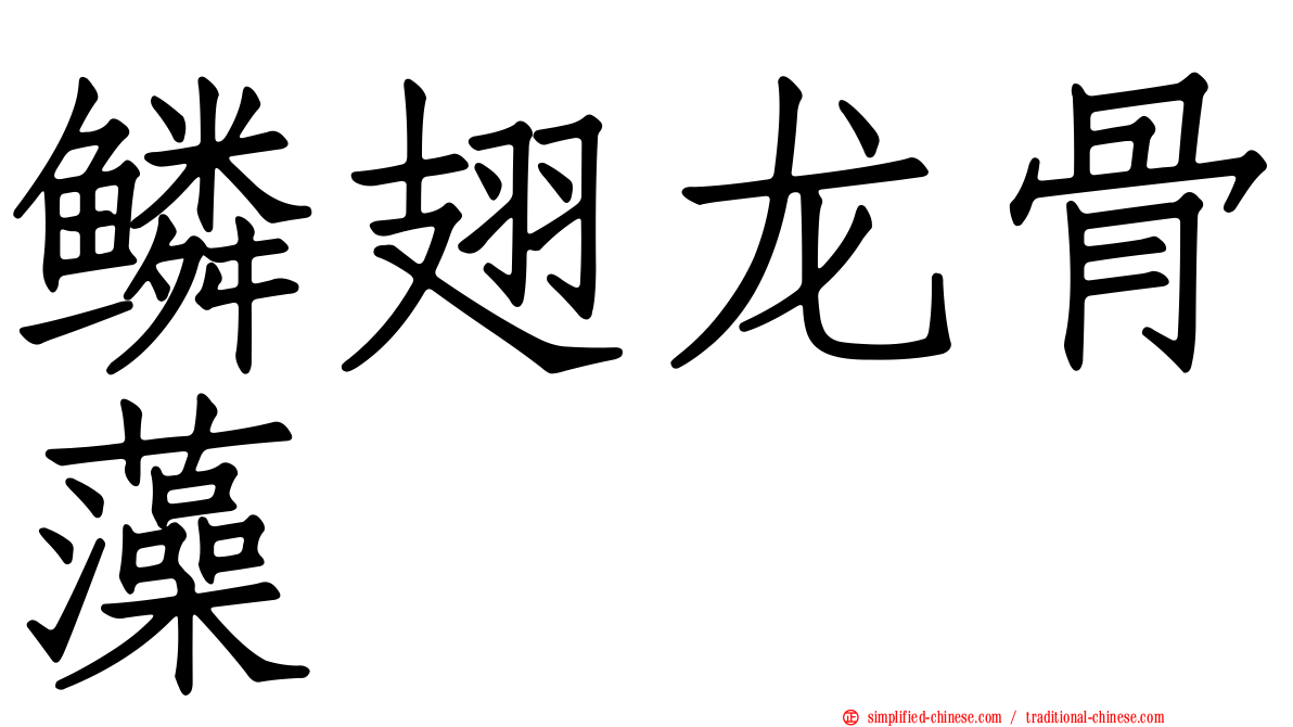 鳞翅龙骨藻