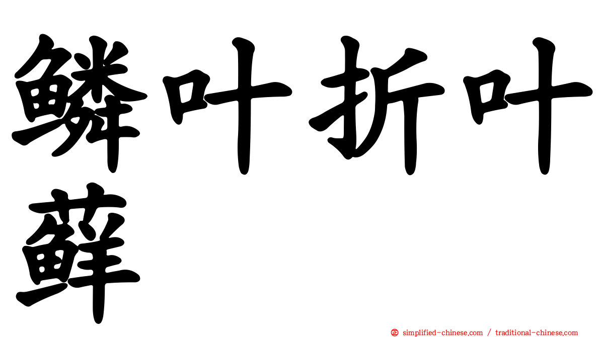 鳞叶折叶藓