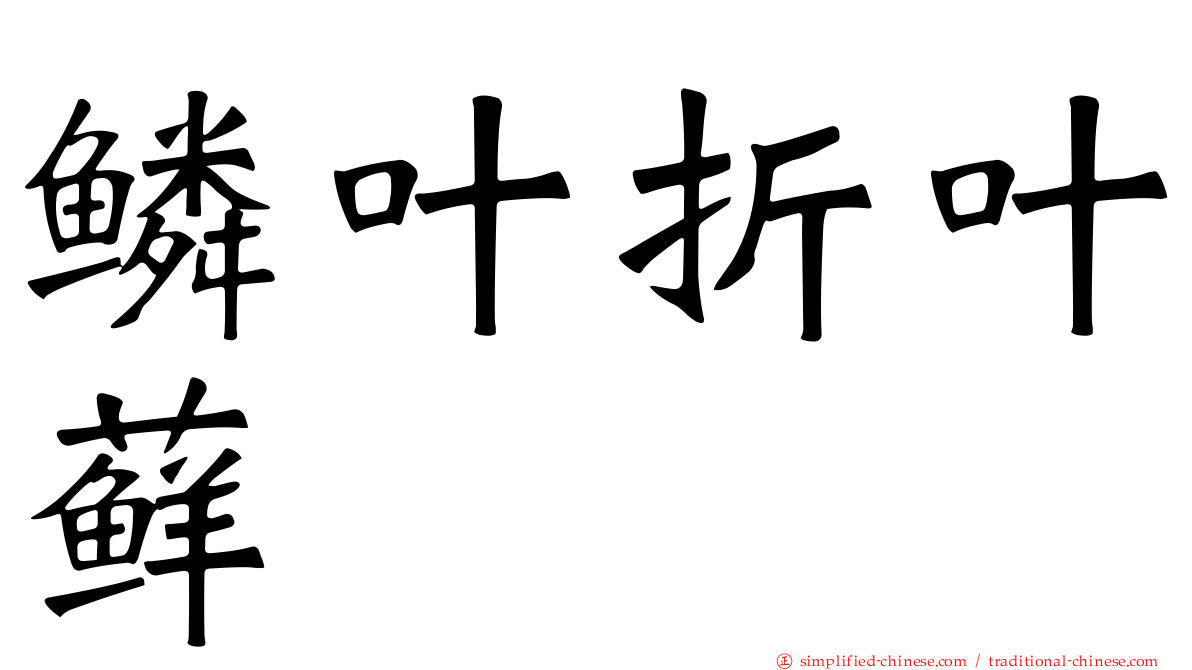 鳞叶折叶藓