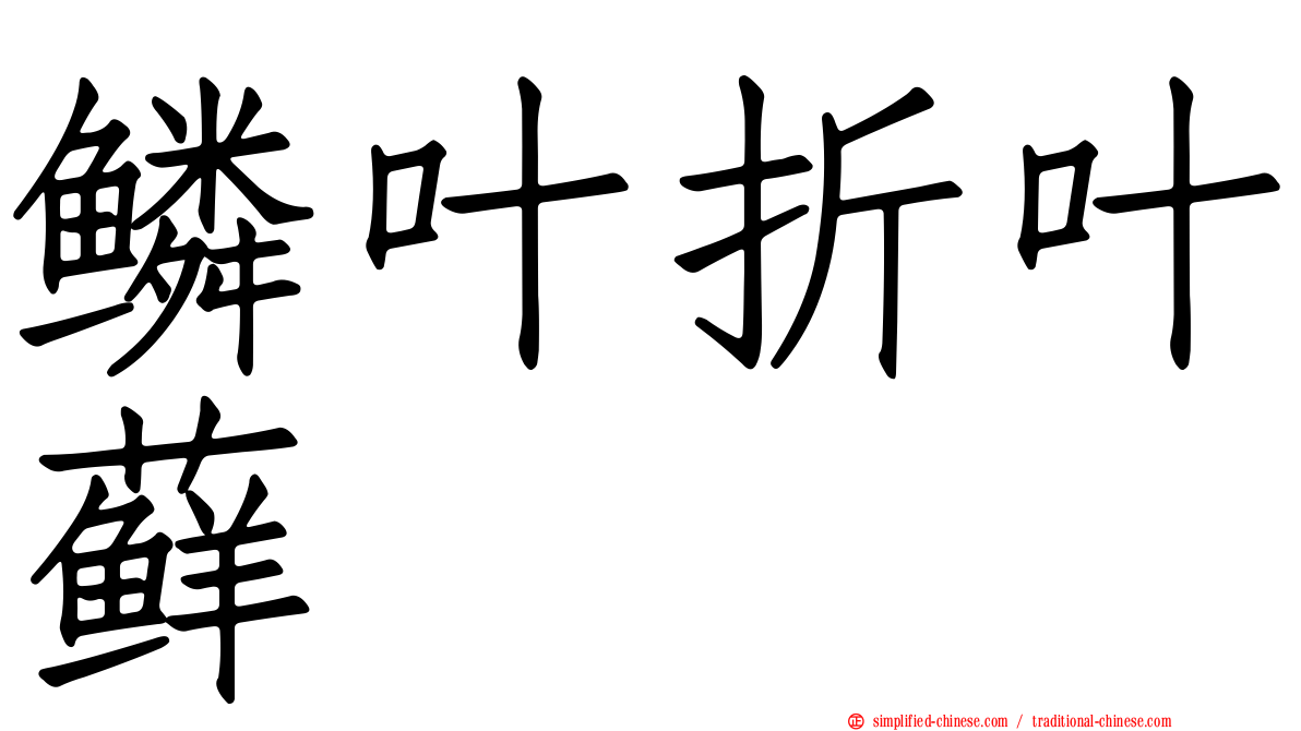 鳞叶折叶藓