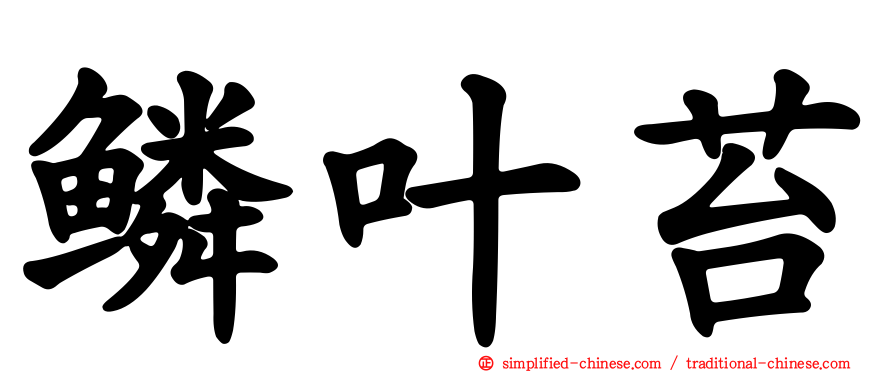 鳞叶苔