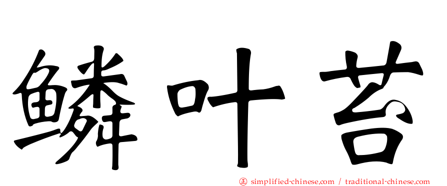鳞叶苔