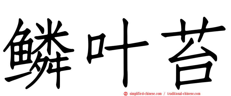 鳞叶苔