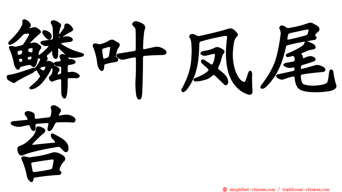 鳞叶凤尾苔