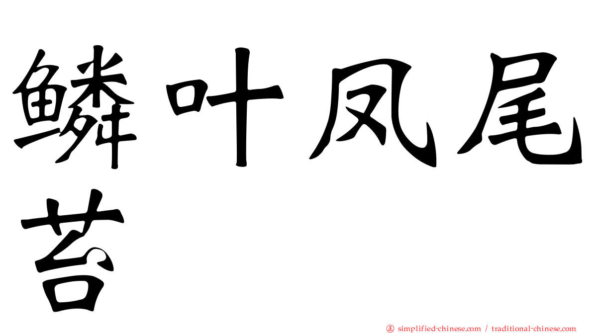 鳞叶凤尾苔