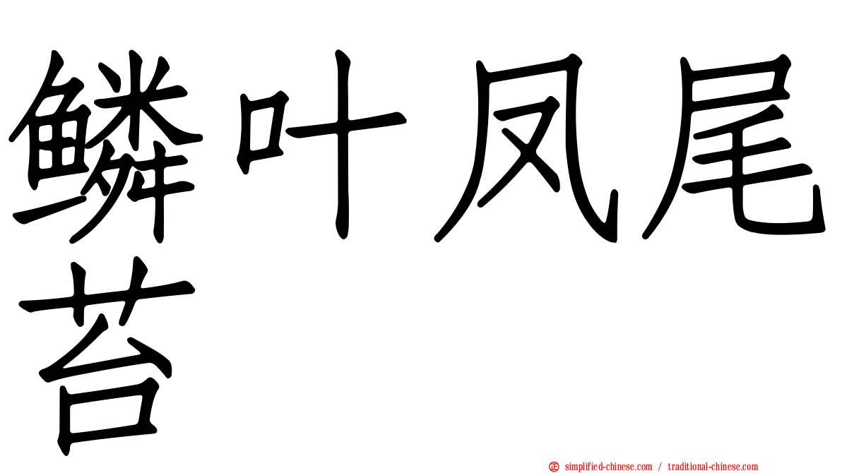 鳞叶凤尾苔