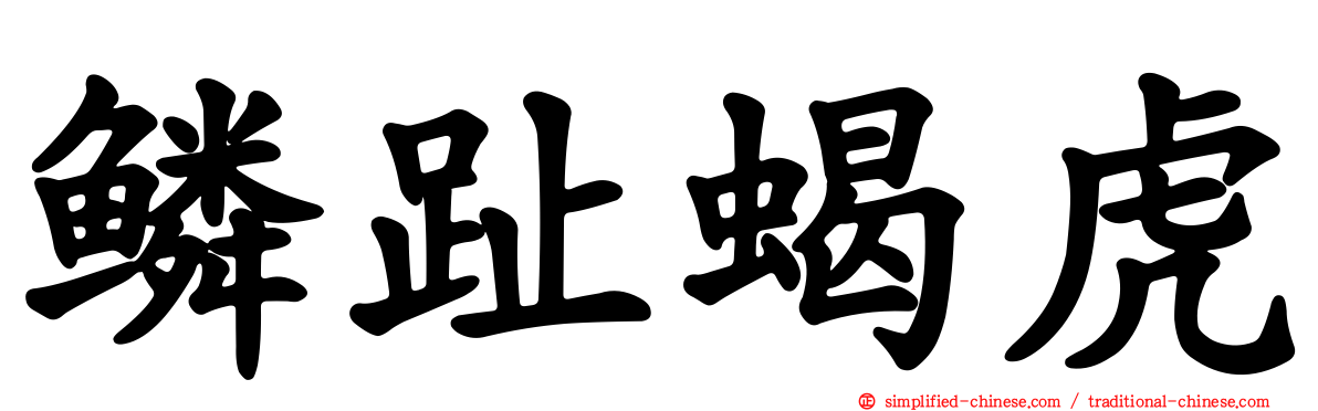 鳞趾蝎虎
