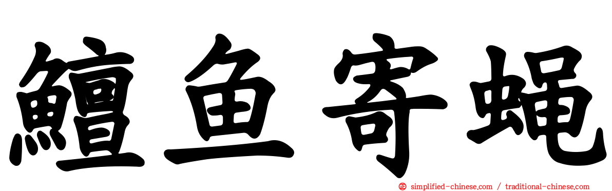 鳣鱼寄蝇
