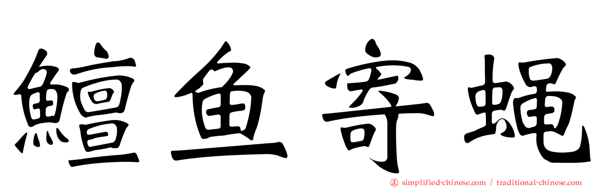 鳣鱼寄蝇
