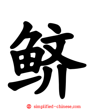 鲚