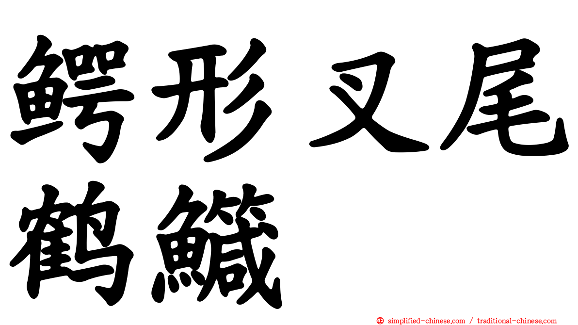 鳄形叉尾鹤鱵