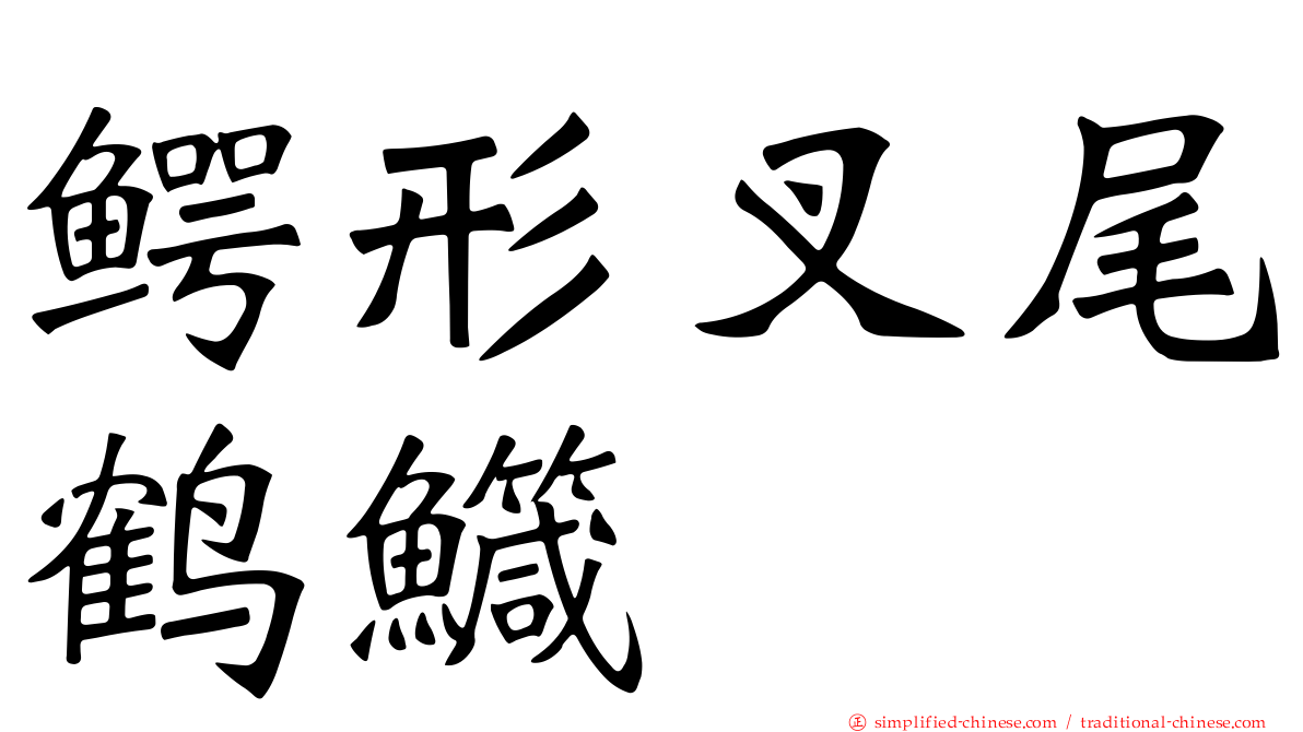 鳄形叉尾鹤鱵
