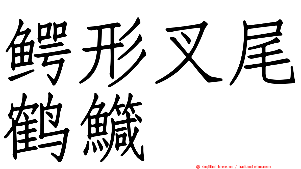 鳄形叉尾鹤鱵