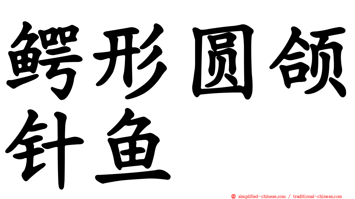 鳄形圆颌针鱼