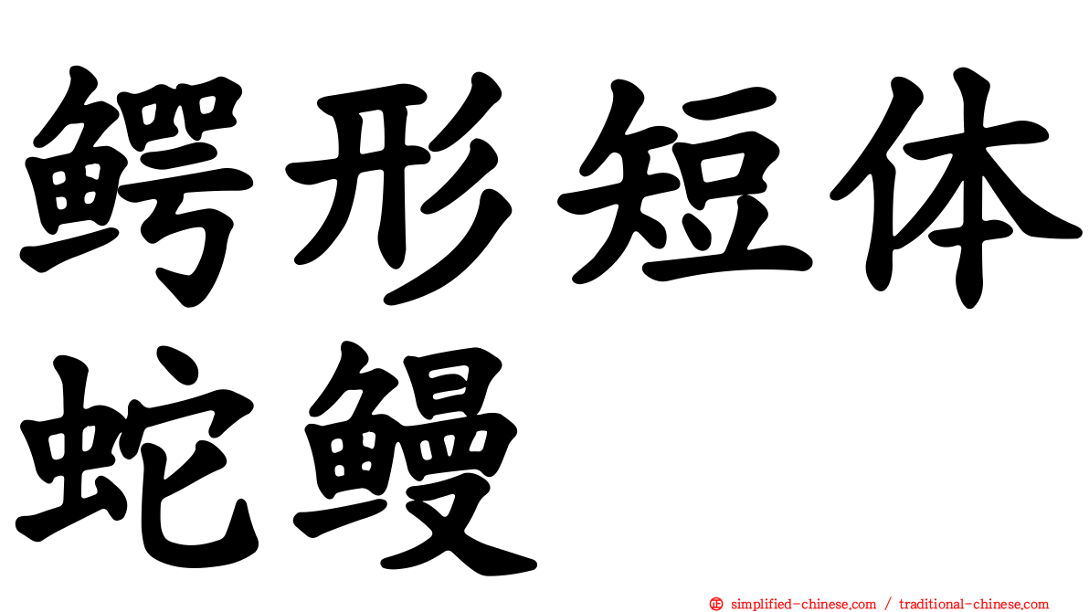 鳄形短体蛇鳗