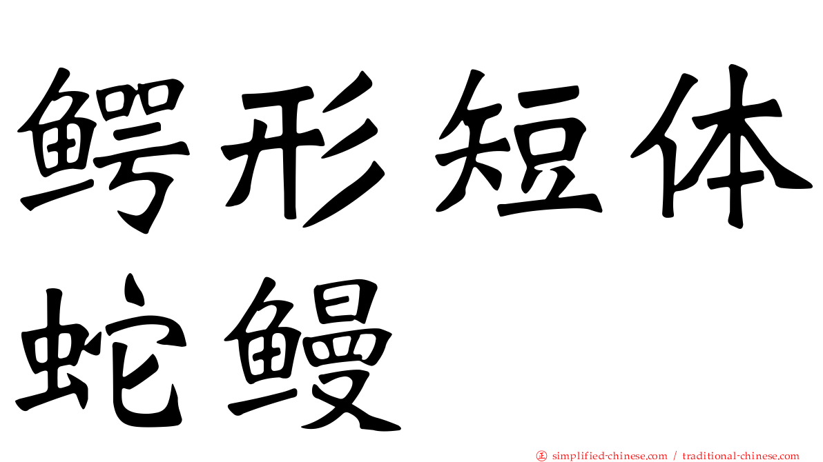 鳄形短体蛇鳗