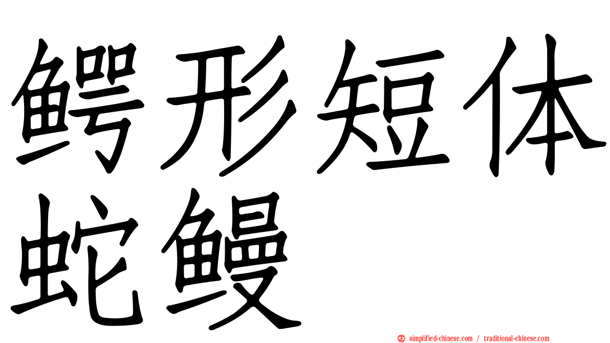 鳄形短体蛇鳗